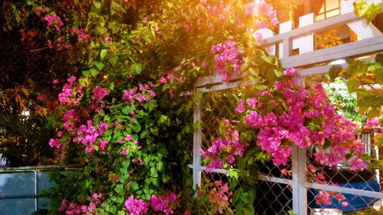 Lapaz Homestay Da Nang Esterno foto